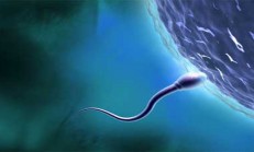 CERRAHİ SPERM ARAMA (TESA), (TESE) NEDİR ?