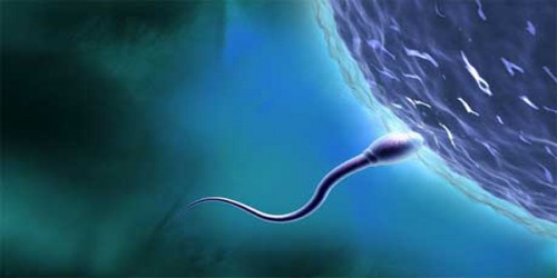 CERRAHİ SPERM ARAMA (TESA), (TESE) NEDİR ?