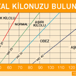 NORMAL VE İDEAL KİLO ÇİZELGESİ