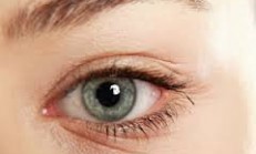 GECİCİ VEYA MEVSİMLİK OLARAK KULLANILAN MADDELER