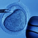 İn vitro