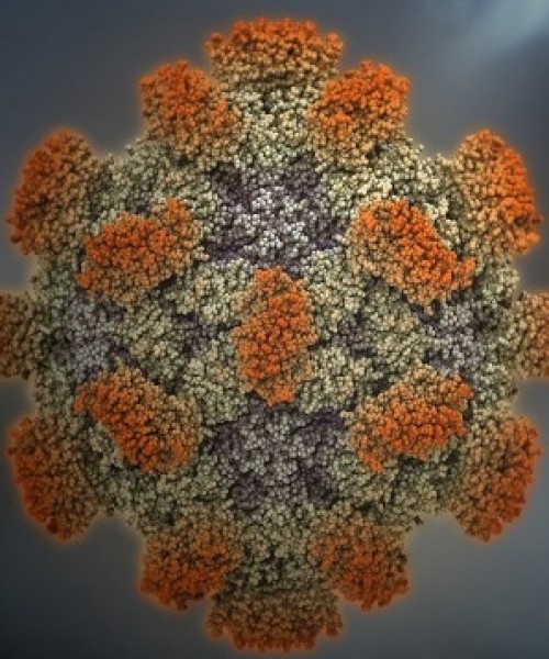 Hepatit E