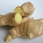 Zencefil