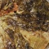 Göbekli Dolma Tarifi