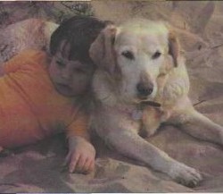 Ev Hayvanları - Köpekler ve Kediler