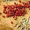 Sağlık Kaynağı 5 Baharat