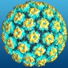 HPV Çıktı, Neden Bana Biyopsi Yapmak İstiyorlar?