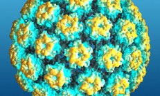 HPV Çıktı, Neden Bana Biyopsi Yapmak İstiyorlar?