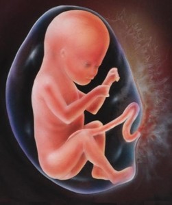 hamilelikte 7. ay