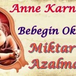 Anne Karnında Bebeğin Oksijen Miktarının Azalması