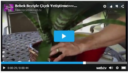 Bebek Beziyle Bitki Yetiştirmek
