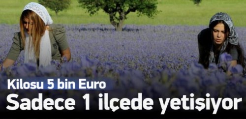 1 Kilogram Satınca 1 Araba Alınıyor!