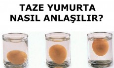Yumurtanın Taze Olup Olmadığını Anlamanın Kolay Yolu