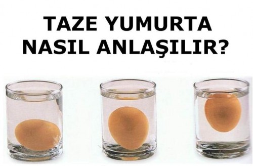 Yumurtanın Taze Olup Olmadığını Anlamanın Kolay Yolu