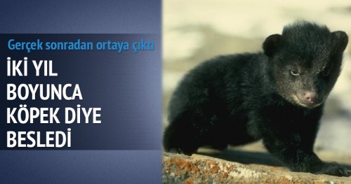 İki Yıl Boyunca Köpek Sandı Bakın Ne Çıktı!