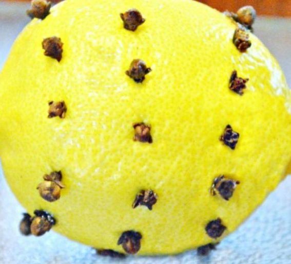 limon karanfil
