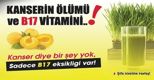 Kanserin En Büyük Nedeni B17 Vitamini Eksikliğidir Peki B17 Vitamini Hangi Besinlerde Var