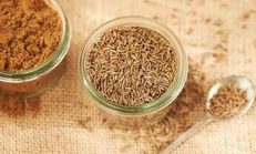 15 Günde 10 Kilo Verdiren Bitki