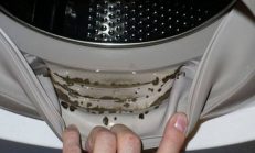 İki Malzeme İle Çamaşır Makinesindeki Küflere Son!