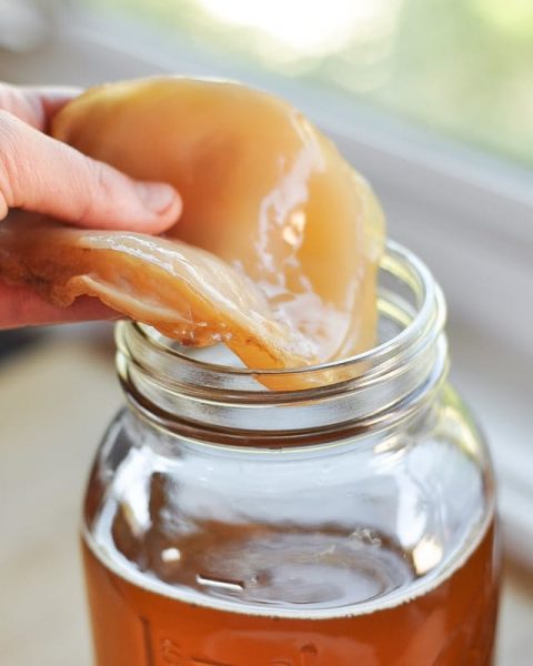 Kombucha – Ölümsüzlük Çayı (Tarifi)
