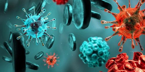 En Güçlü Doğal Antibiyotik Enfeksiyon ve Parazitleri Yok Ediyor!