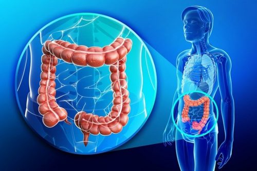 Zencefil Prostat ve Kolon Kanserini Yok Ediyor! Kemoterapiden Daha İyi ve Sağlıklı