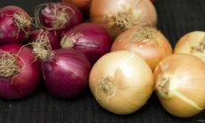 Soğanı Sevmeniz İçin Pek Çok Neden Var! Özellikle 30 Yaş Üzeri Kadınlar Mutlaka Okuyun
