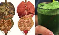 Vücudunuzdaki Bütün Toksin ve Yağları Atacak Yeşil Detoks İçecekler
