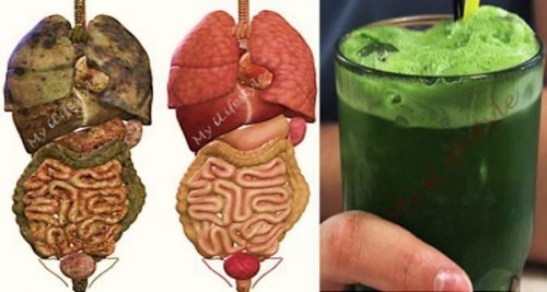 Vücudunuzdaki Bütün Toksin ve Yağları Atacak Yeşil Detoks İçecekler