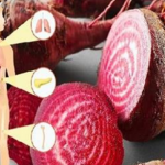 Kırmızı pancar meğer ne kadar faydalıymış