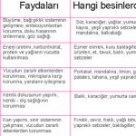Hangi Vitamin Hangi Besinde Bulunur Hastalığınıza Uygun Vitamin Alın Çabucak İyileşin