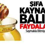Balın Bu Mucizevi Faydalarını Öğrendiğinizde Direkt Mutfağa Koşacaksınız