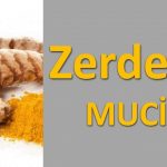 Kansere Karşı Zerdeçal Tam Bir Şifa Kaynağıymış