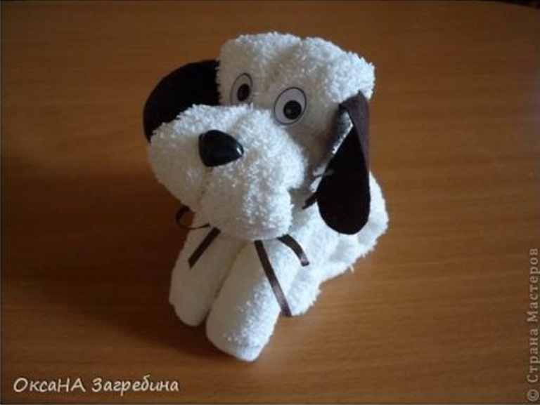 havlu köpek