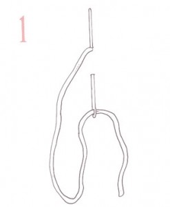rokoko2